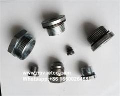 Tapón de tubería de acero inoxidable sólido hexagonal con borde