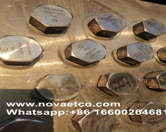 N08825 nickel alloy fastener nut