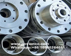 UNS N08367 Octagonal flange