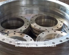 N08810 nickel based alloy flange fittings