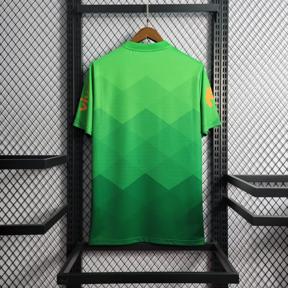 Brazil Training  Suit Green S-XXL