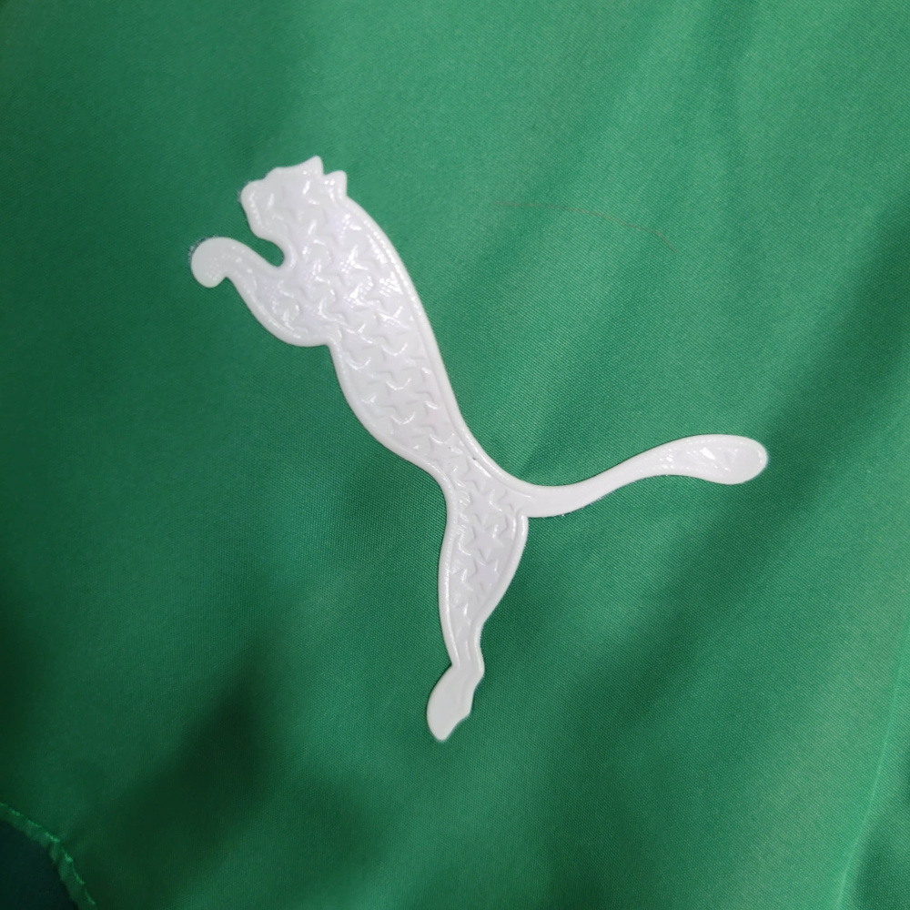 23/24 player windbreaker Palmeiras size S-XXL