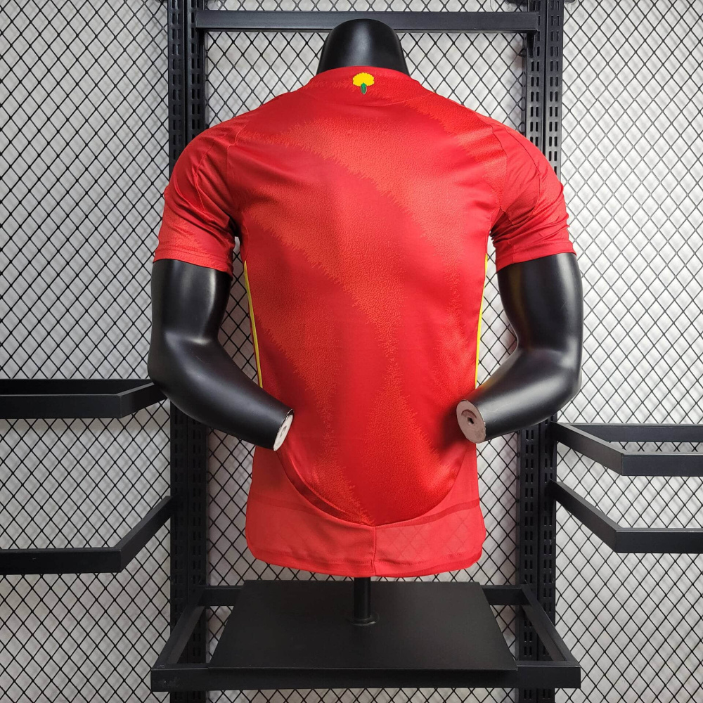24/25 player Spain Home