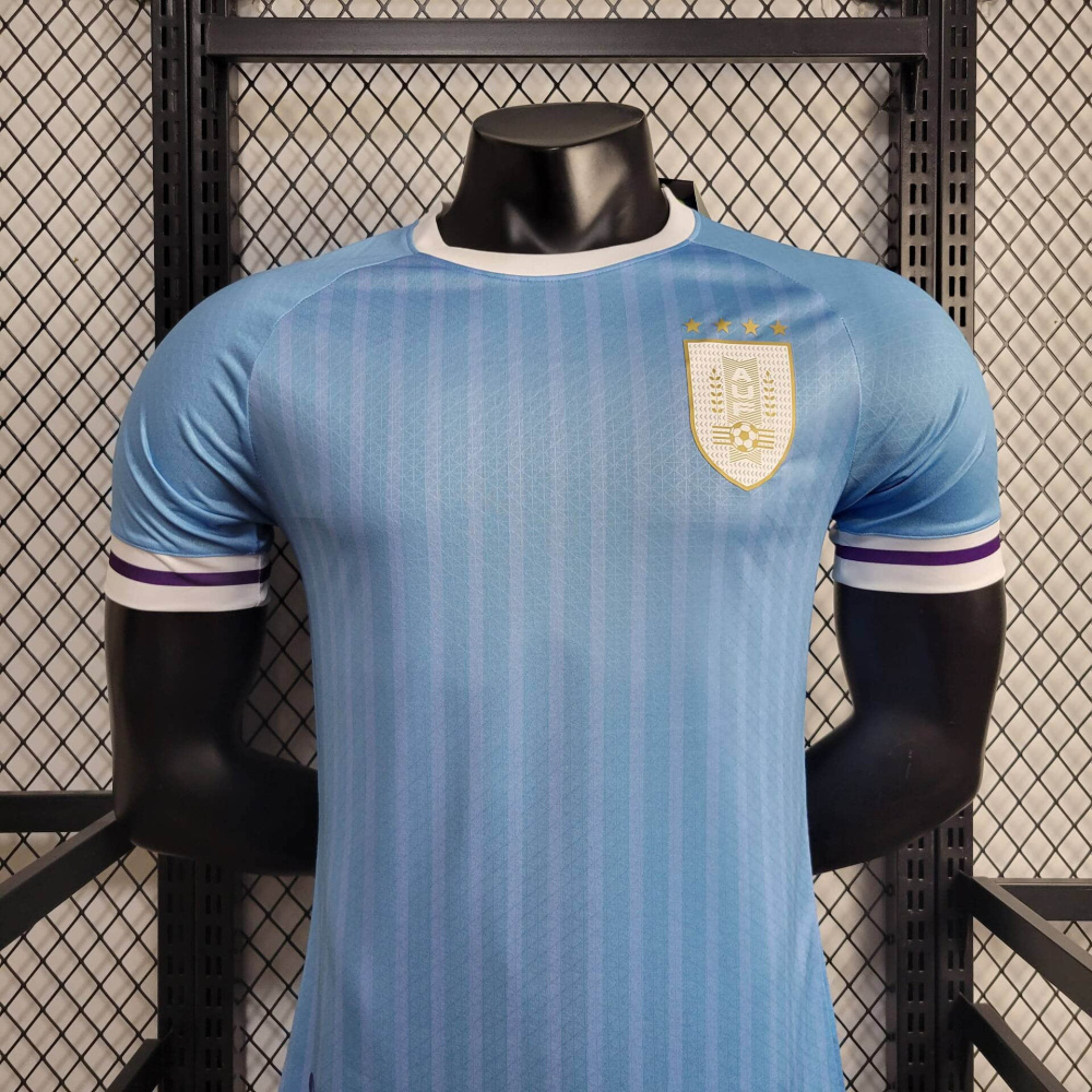 24/25 player Uruguay Home
