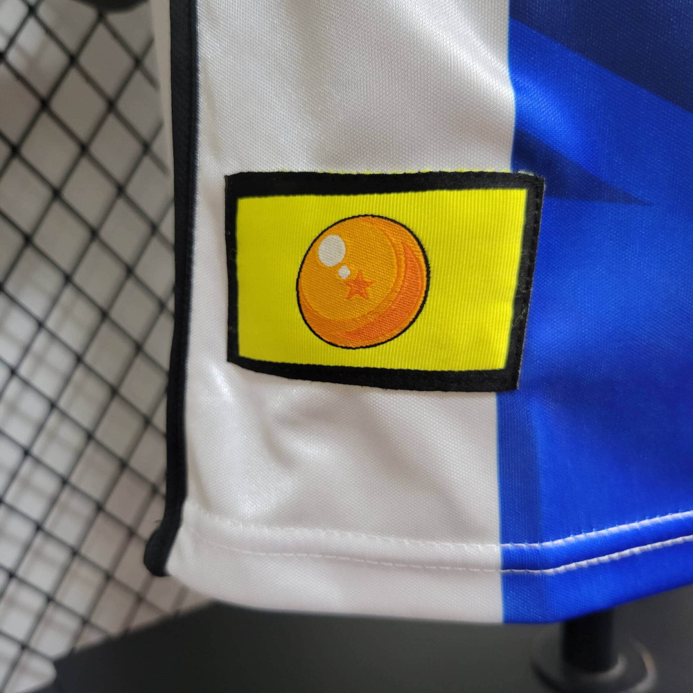 24/25 player Argentina Special edition