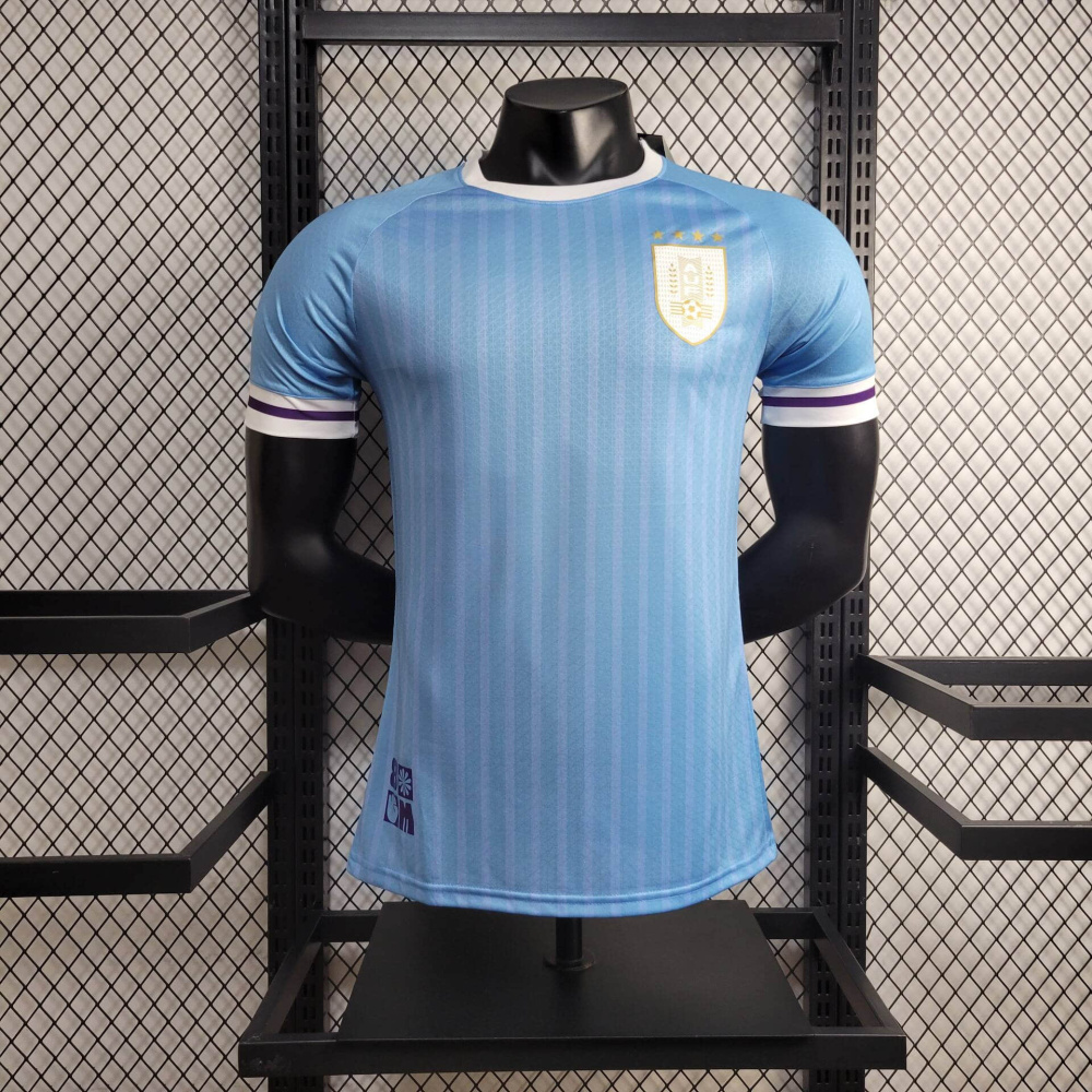 24/25 player Uruguay Home