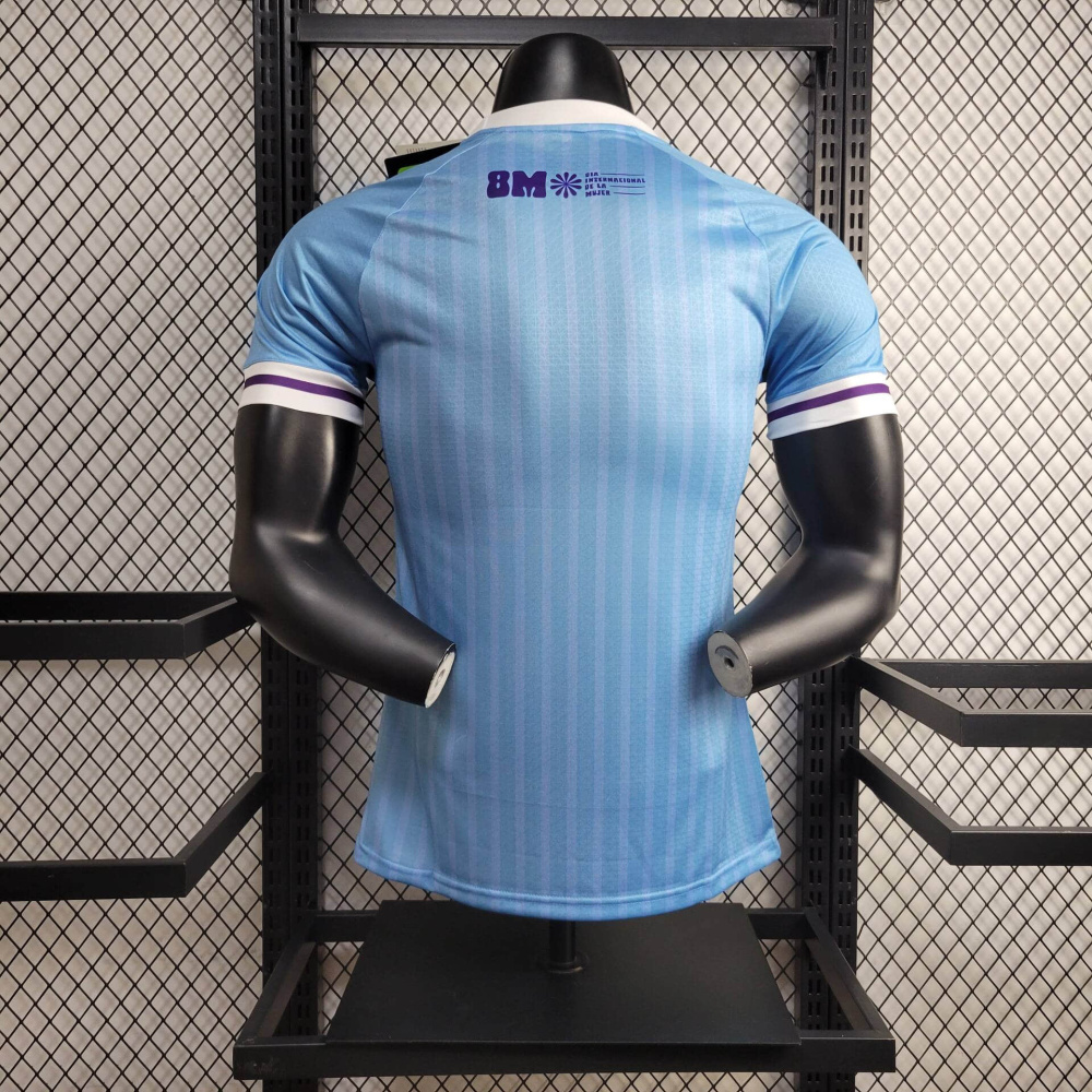 24/25 player Uruguay Home