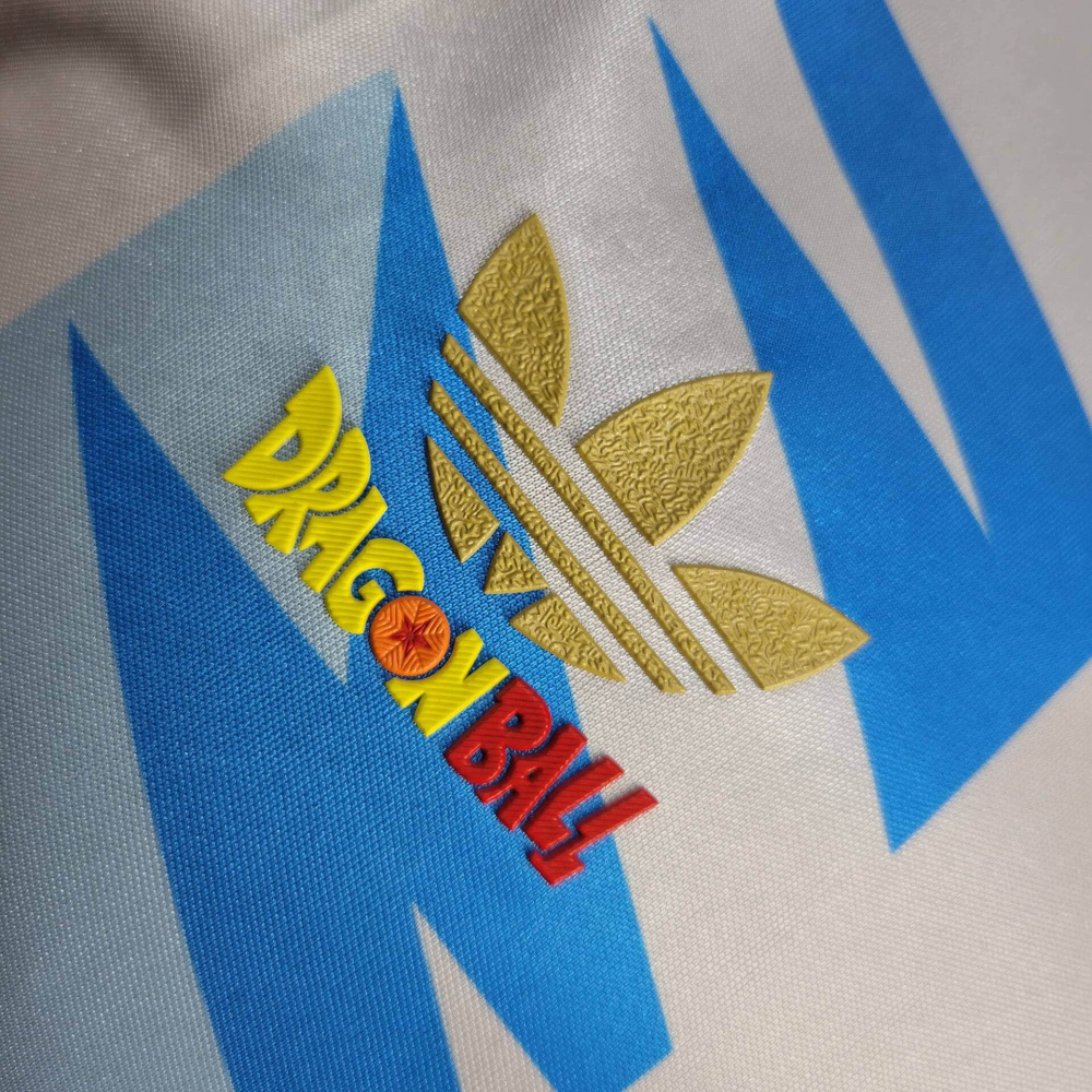 24/25 player Argentina Special edition