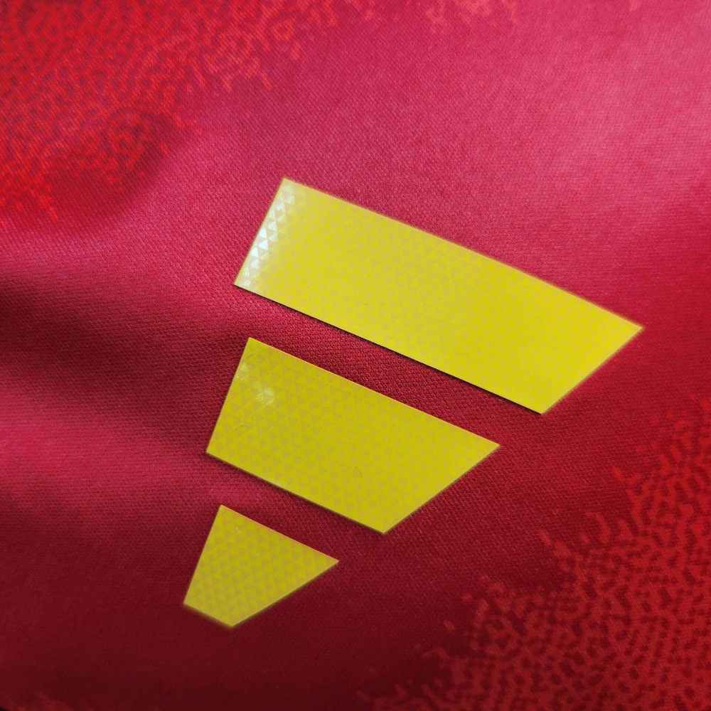 24/25 player Spain Home