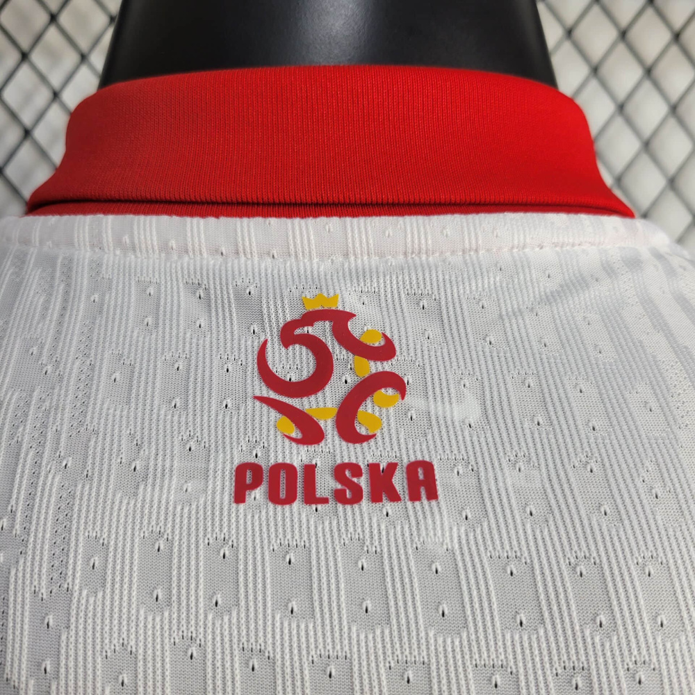 24/25 player Poland home