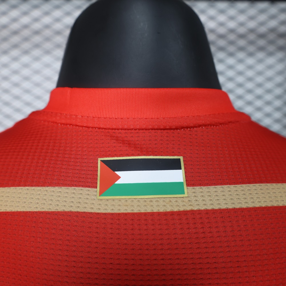 24/25 Palestinian players
