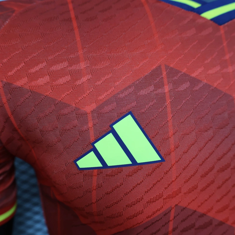 Spain Special edition 24/25 player Football team shirt Jersey