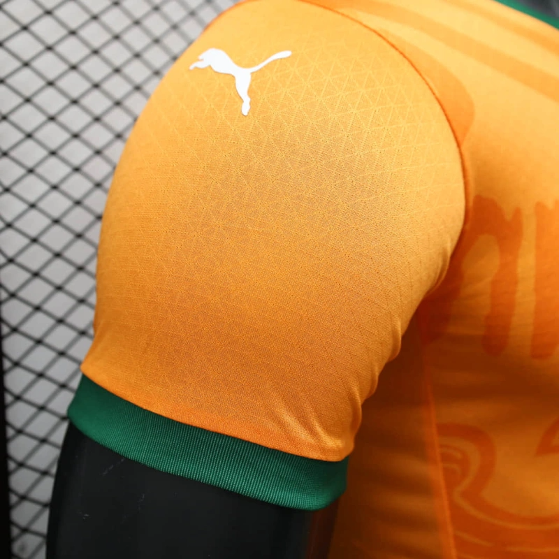 Ivory coast home player 24/25 Football team shirt jersey Sports shirt