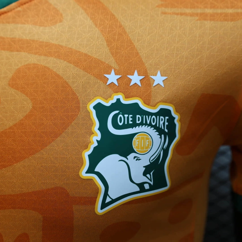 Ivory coast home player 24/25 Football team shirt jersey Sports shirt