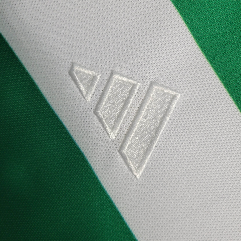 23/24 Celtic F.C. Special Edition Size S-XXL