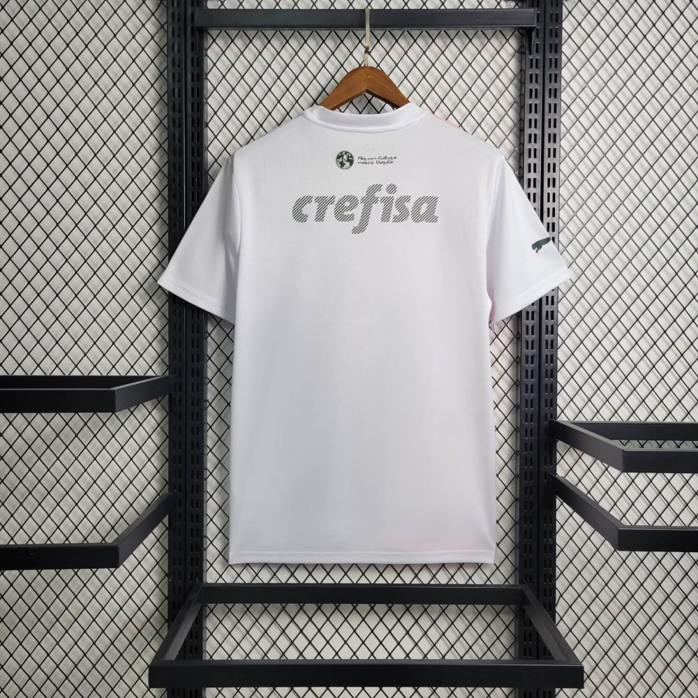 23/24  Palmeiras