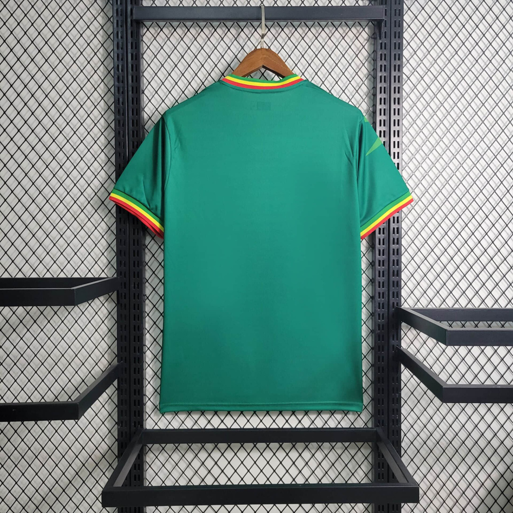 23/24 Mali  Football shirt