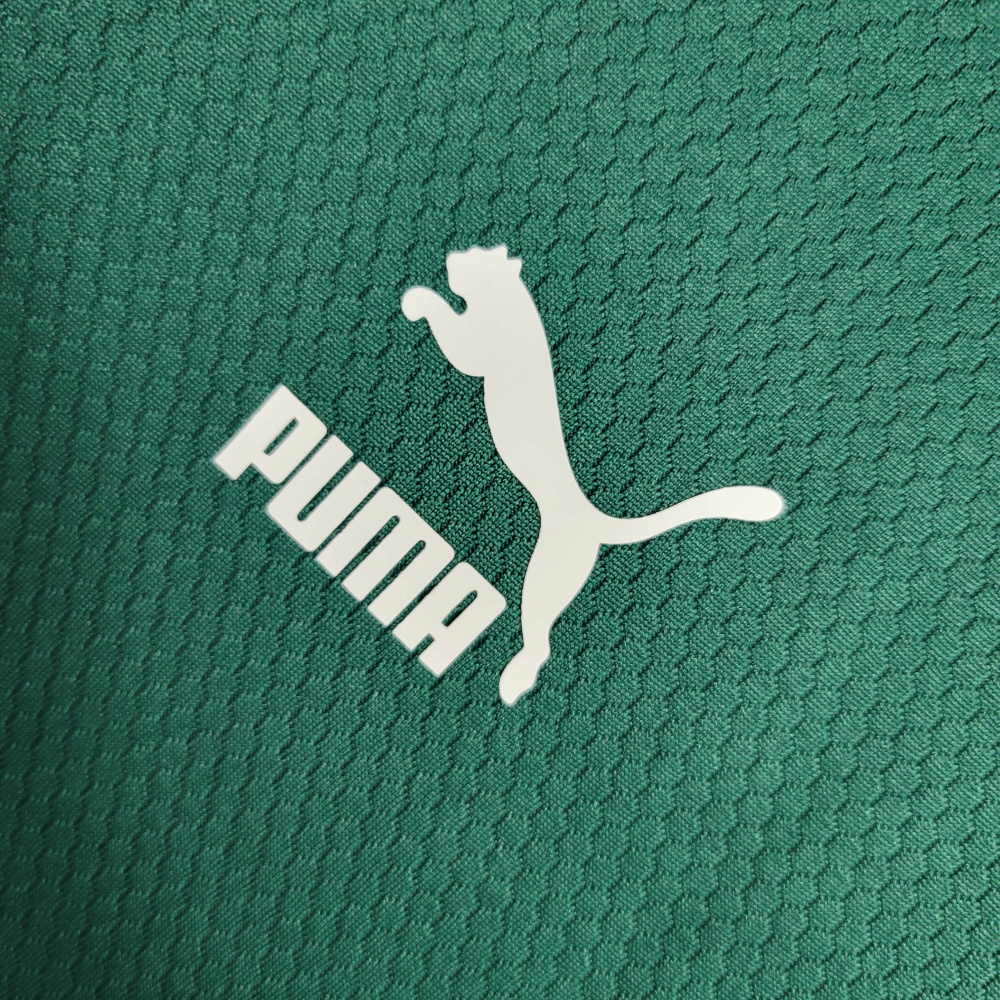 23/24 Palmeiras Training Suit Green Size S-XXL