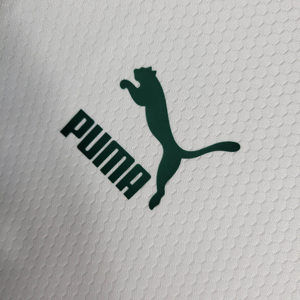23/24 Palmeiras Training Suit Green Size