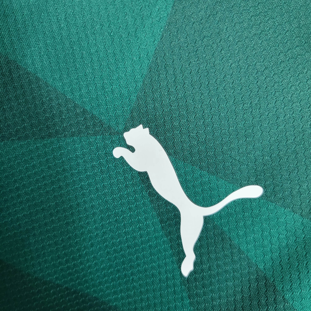 23/24 Palmeiras home size S-4XL
