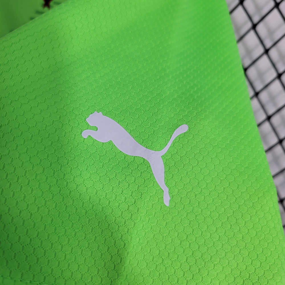 23/24 Palmeiras fluorescent green goalkeeper size S-XXL