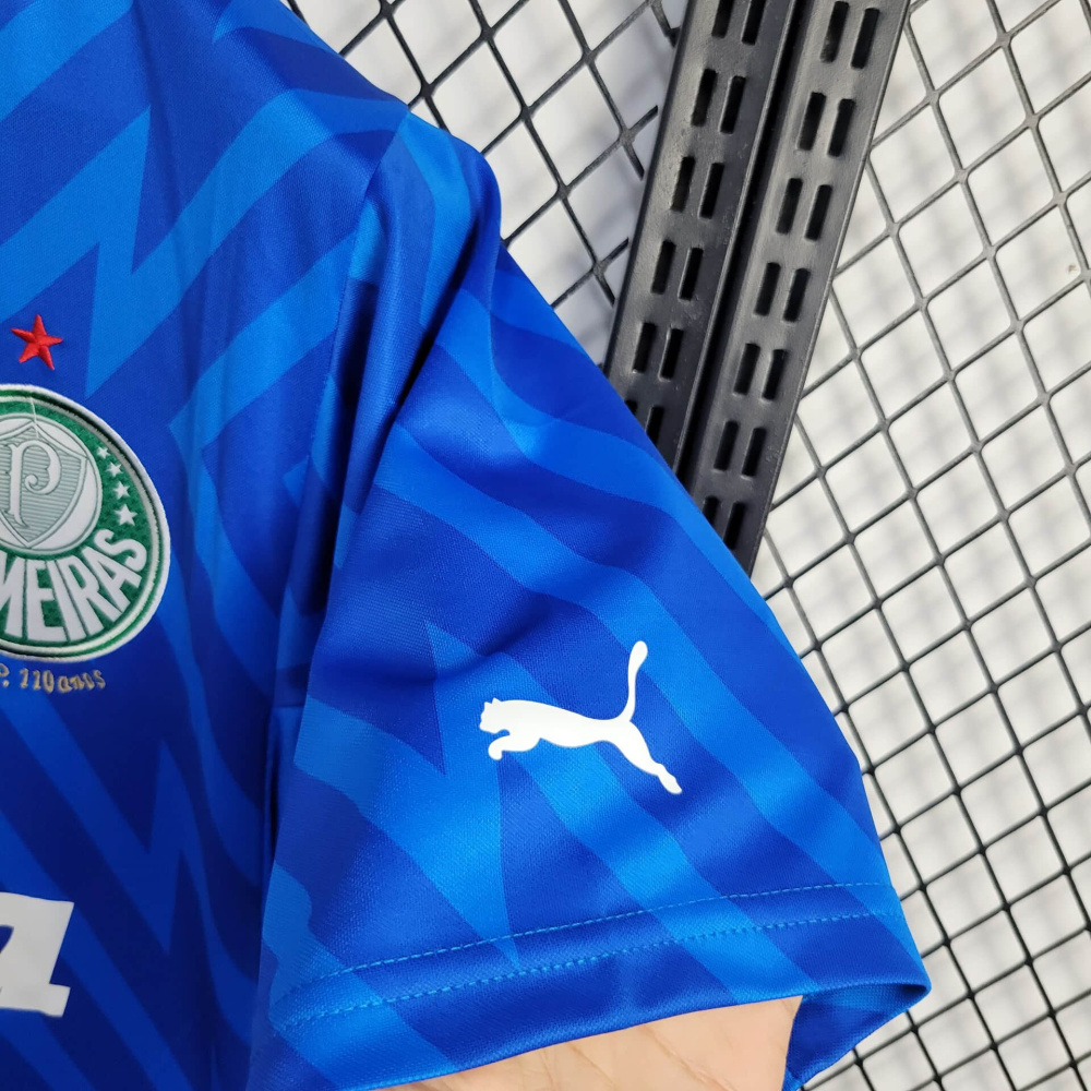24/25 Palmeiras goalkeeper