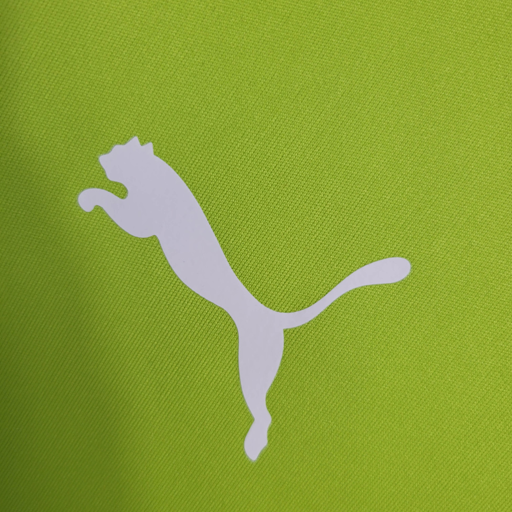 23/24 Palmeiras Training T-Shirt Grass Green Size S-XXL