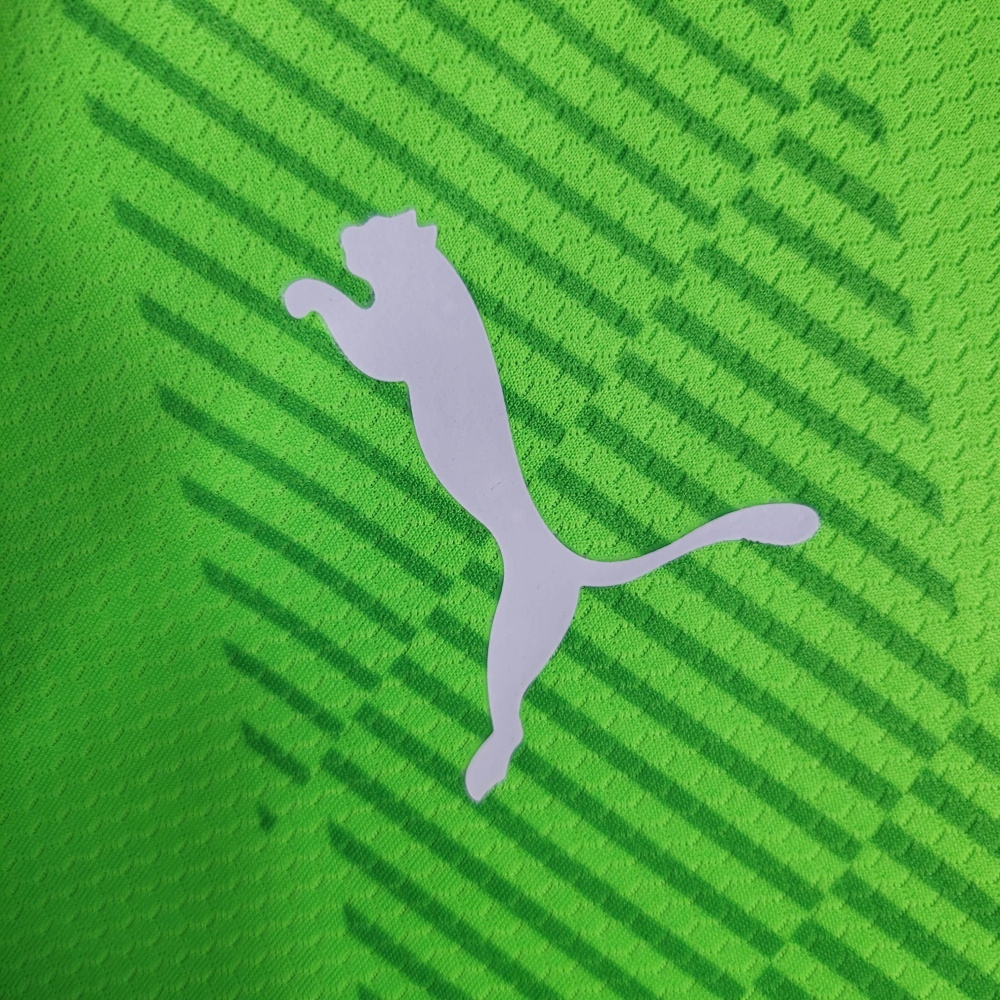23/24 Palmeiras fluorescent green goalkeeper size S-XXL