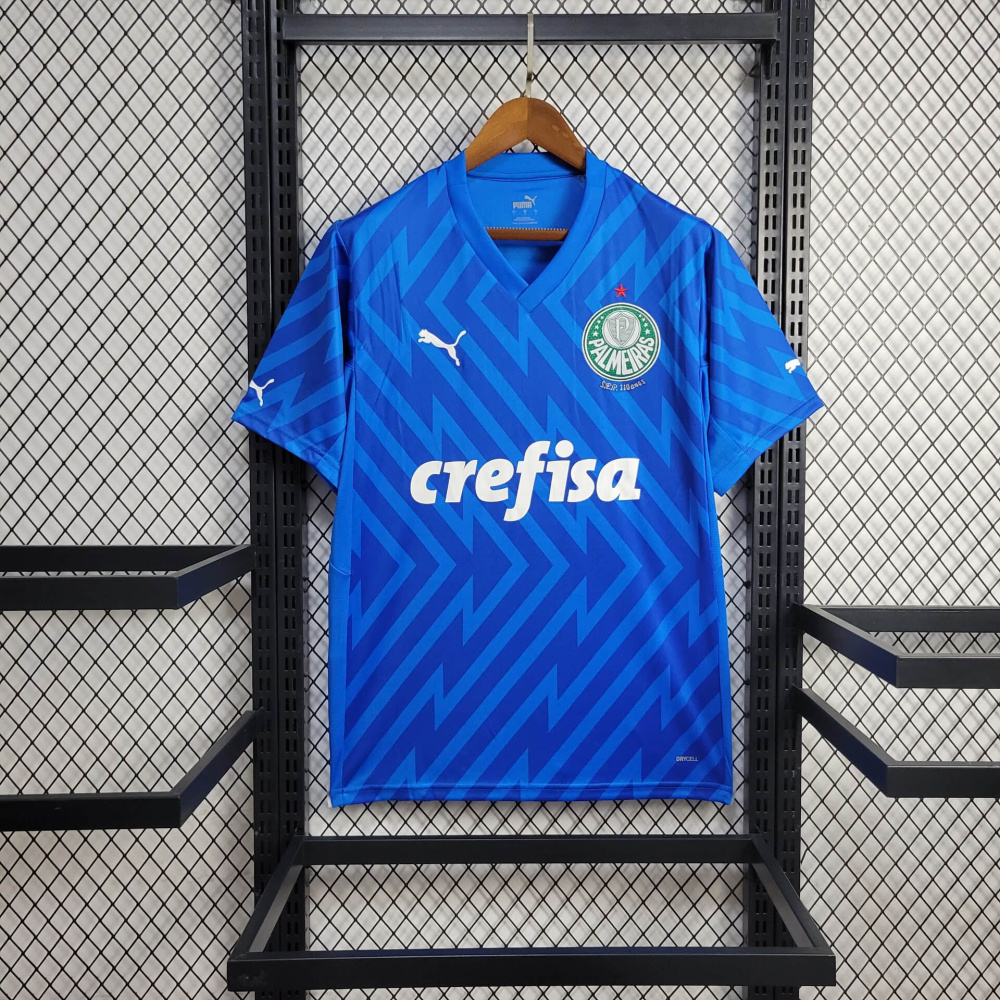 24/25 Palmeiras goalkeeper