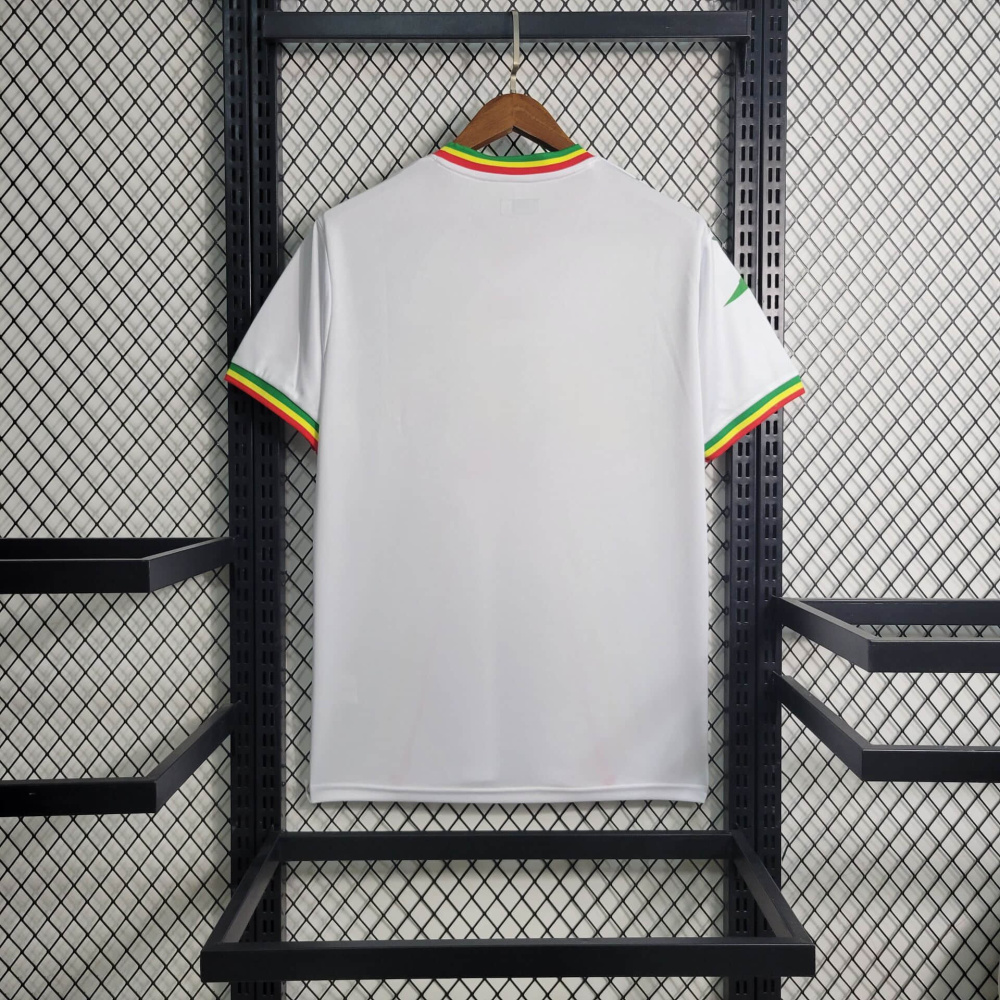 23/24 Mali  Football shirt