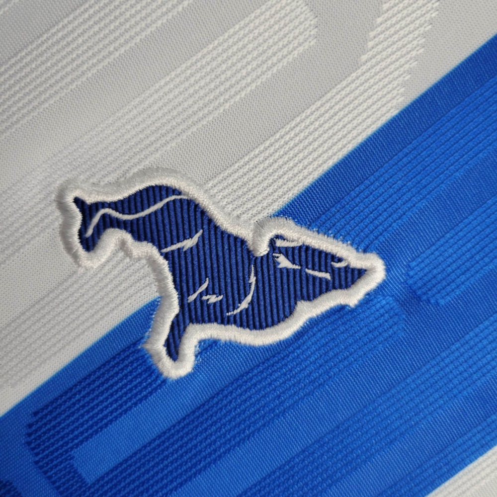 24/25  Women Paysandu home