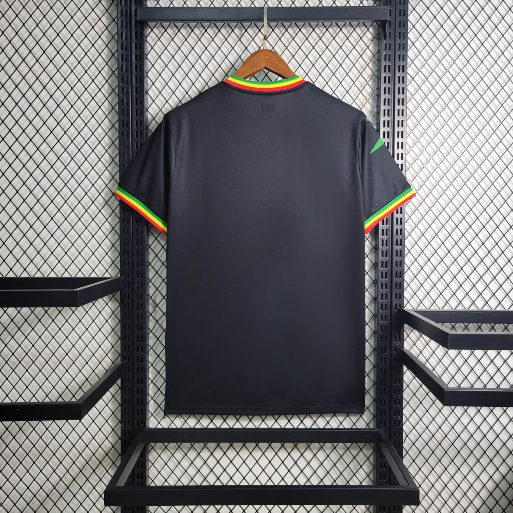 23/24 Mali  Football shirt