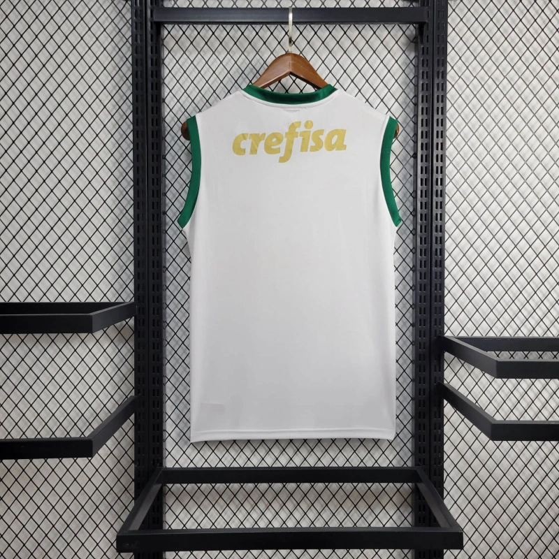 24/25 Palmeiras away vest