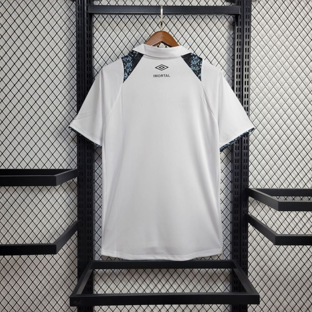 24/25 Gremio Home