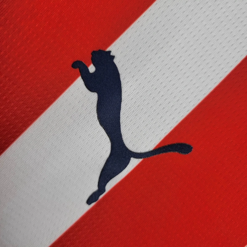 Chivas de Guadalajara 24-25 Home Stadium Jersey - Fans Version
