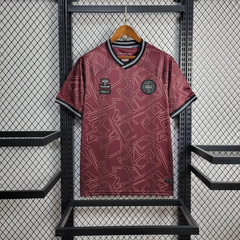Denmark Special edition shirt 24/25 Football team shirtJersey Sports shirt