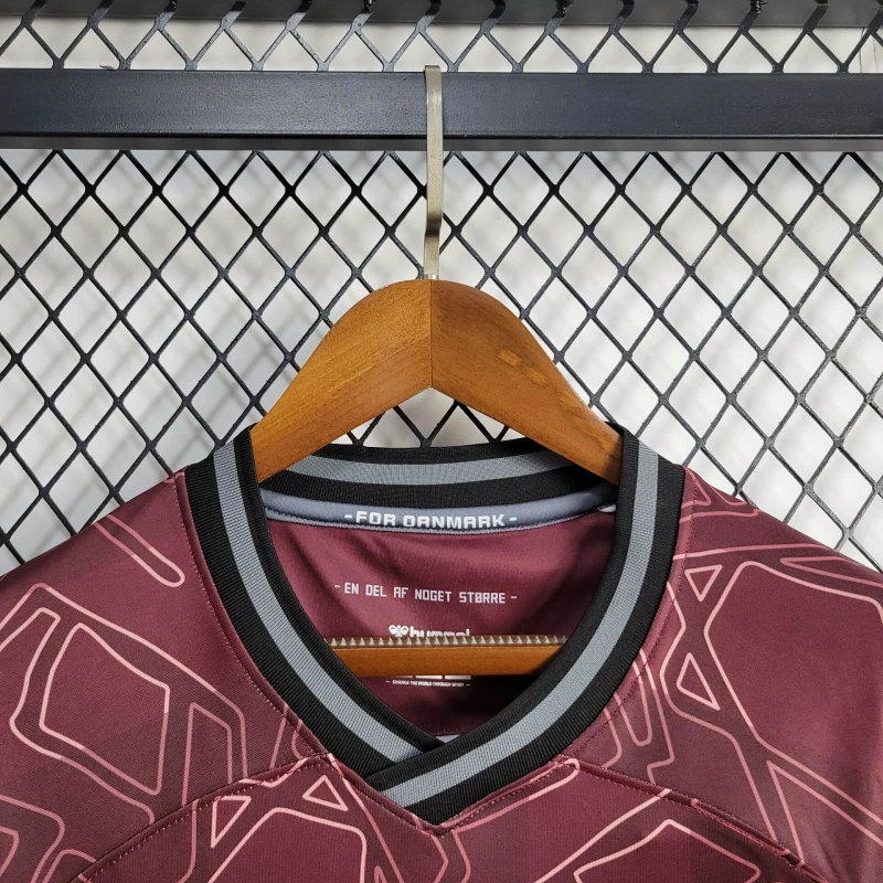 Denmark Special edition shirt 24/25 Football team shirtJersey Sports shirt