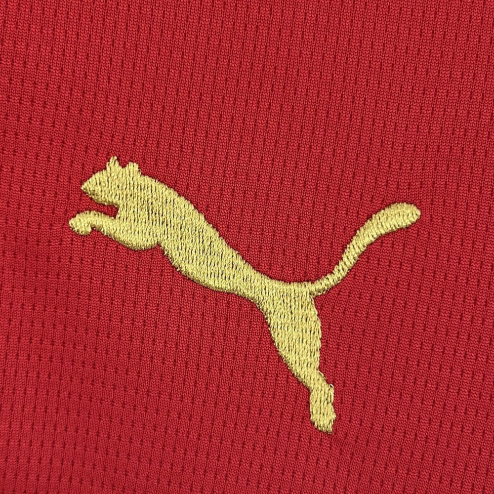 Morocco Home FIFA World Cup 2026 New Season Jersey