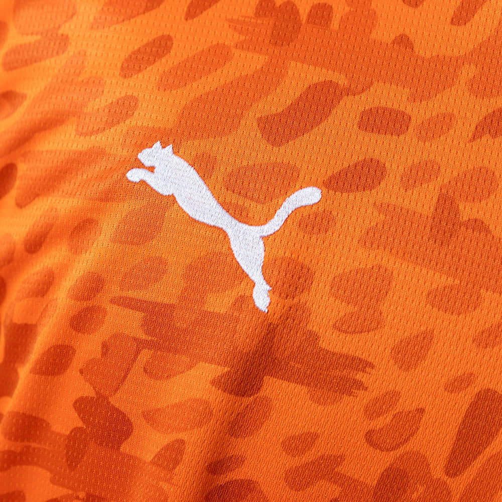 vory Coast Home FIFA World Cup 2026 New Season Jersey