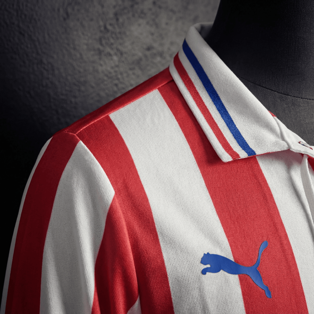 Retro Chivas Long Sleeves 2016/17 110th Anniversary Jeresy