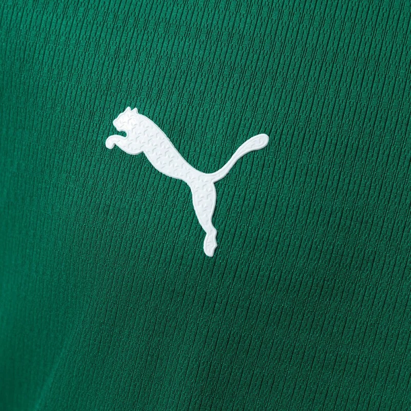 Player Palmeiras Home 2026/2027 Jersey S-4XL