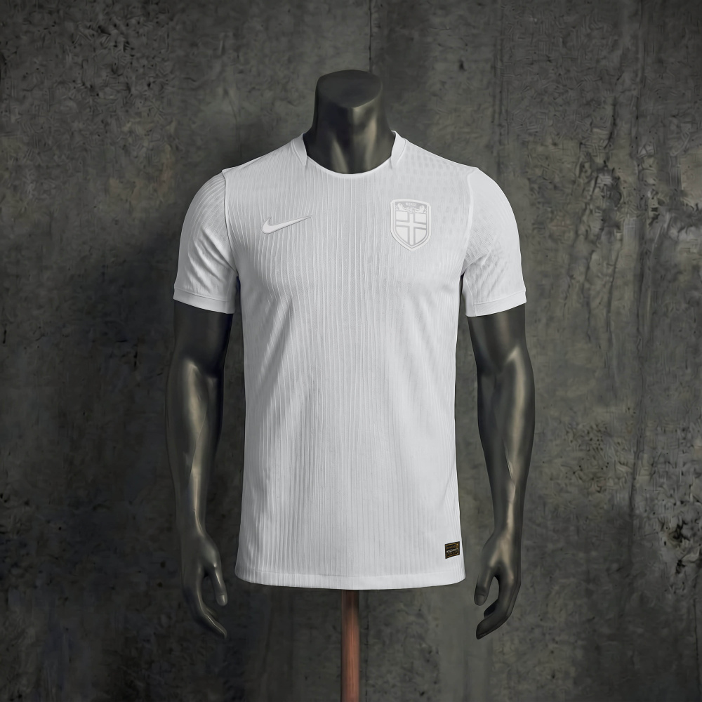 Player Version Norway Second Away FIFA World Cup 2026 Jersey, Sizes S-XXL