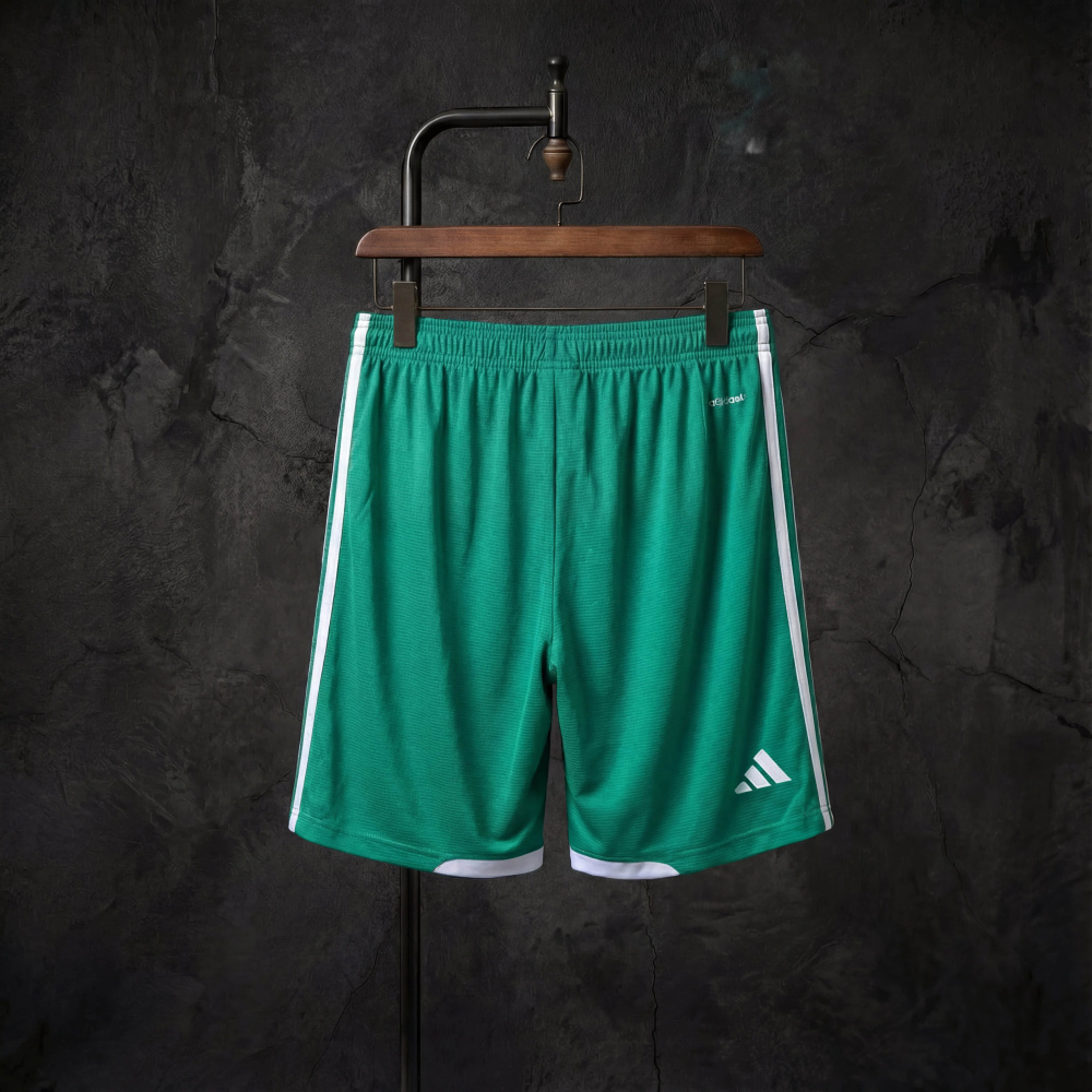 Shorts Northern Ireland Home 2026 National Team