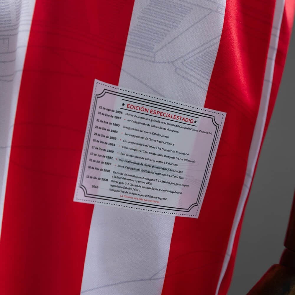 Retro Chivas de Guadalajara Home 10/11 Jersey