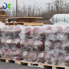 ISO11439 Cng-2 200Bar 406mm Cilindro Composto Tipo-2 Cilindro de Gás para Veículos