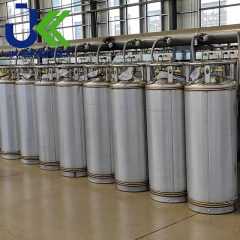 175L Dewar Bottle Liquid Nitrogen Oxygen LNG Cryogenic Cylinder Vertical Insulated Dewar Tank