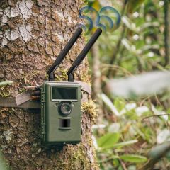 Bingfu 4G LTE Cellular Trail Camera Antenna 8dBi RP-SMA Male Antenna (2-Pack) Compatible with Spypoint Link Micro Solar EVO Link S Dark Wildlife Hunting Game Cam Outdoor Mobile Security Camera