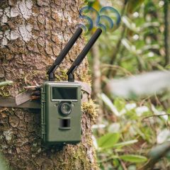 Bingfu 4G LTE Cellular Trail Camera Antenna 8dBi RP-SMA Male Antenna (10-Pack) Compatible with Spypoint Link Micro Solar EVO Link S Dark Wildlife Hunting Game Cam Outdoor Mobile Security Camera