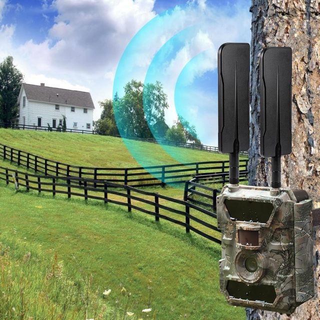 Bingfu Trail Camera 4g LTE 8dBi Cellular Antenna (RP-SMA Male)(2-Pack) Compatible with Game Camera Cellular Modem Wildlife Hunting Camera Outdoor Mobile Security Camera