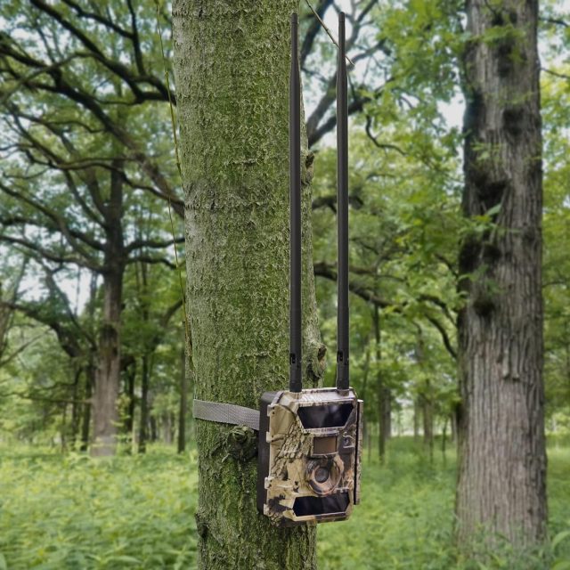 Eightwood 4G LTE Antenna 9dbi RP-SMA Antennae Compatible with Spypoint Link Tactacam Stealth Cellular Trail Camera Outdoor Wildlife Hunting Game Cam Security Camera (2-Pack)